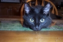 He was hunting my cam XD