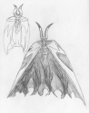 Random Art