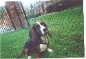 This is my dog! YAY!