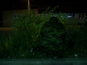 My friend dave dressed as a russian soldier, totally hidden in the bushes. :p Da!