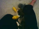 Poor girl has a flesh eating disease in her feet. Cute wrappings though.