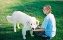 This is of me and Sugar, the camp dog.  This was at the Cultural Camp my work sponsored for high-risk youth.